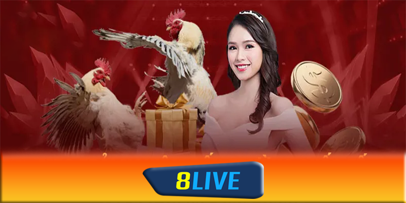 Tương lai của đá gà 8live